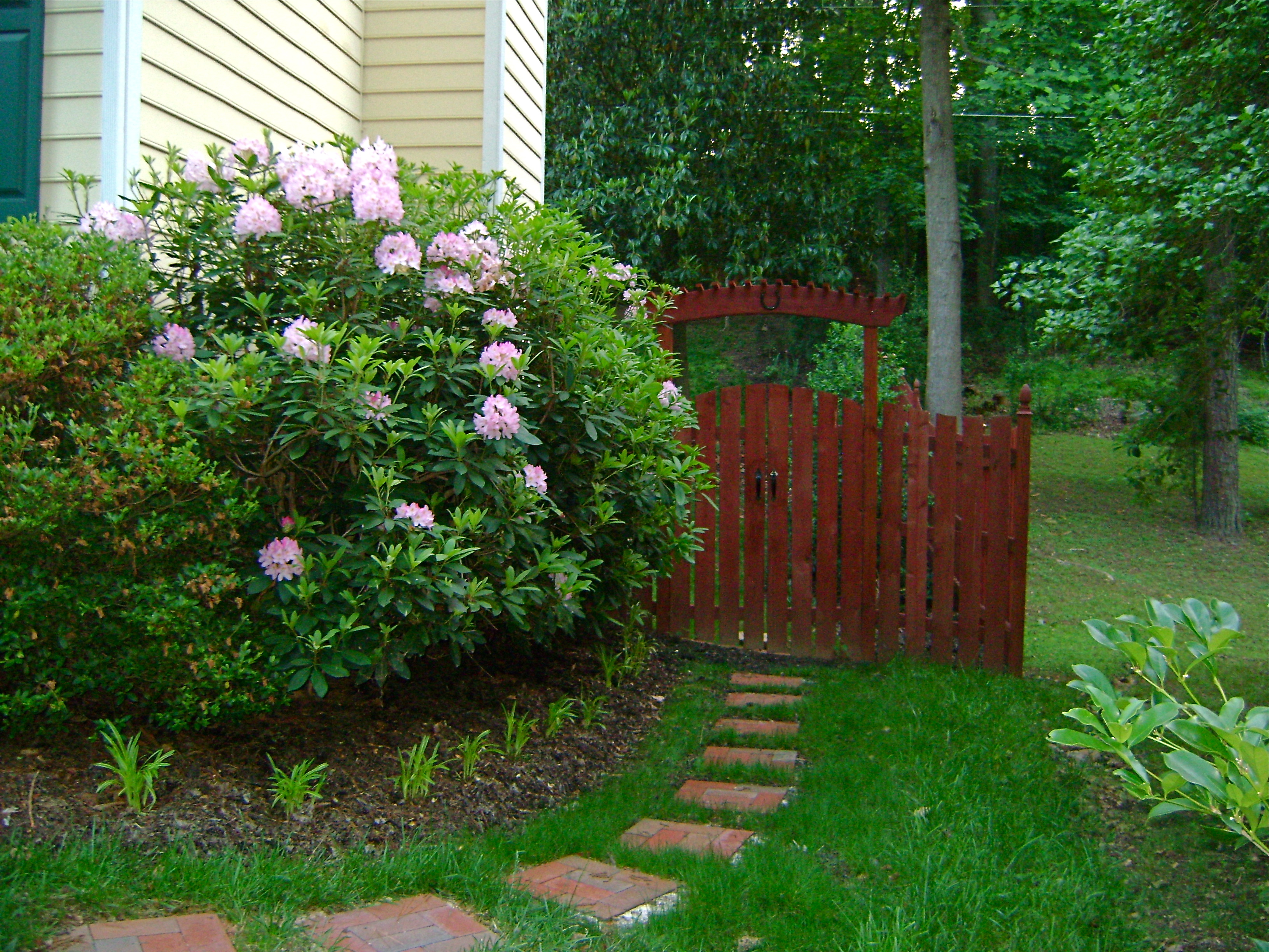 Beginner Diy Front Yard Landscaping Ideas On A Budget